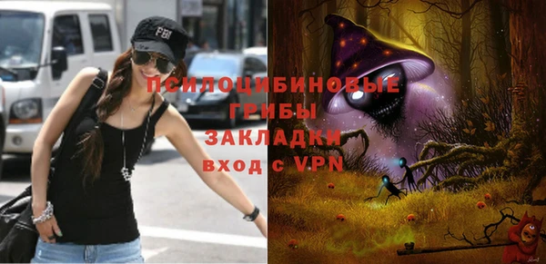 ПСИЛОЦИБИНОВЫЕ ГРИБЫ Струнино